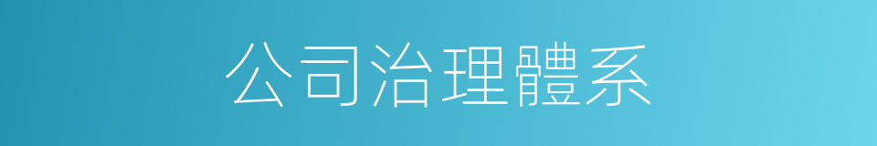 公司治理體系的同義詞