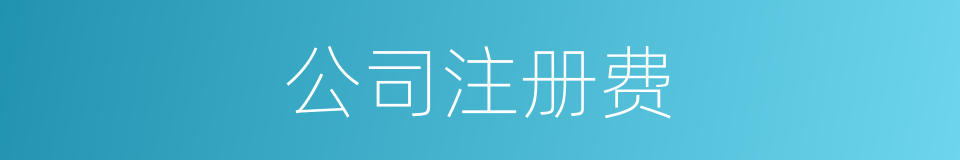 公司注册费的同义词