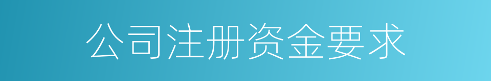 公司注册资金要求的同义词