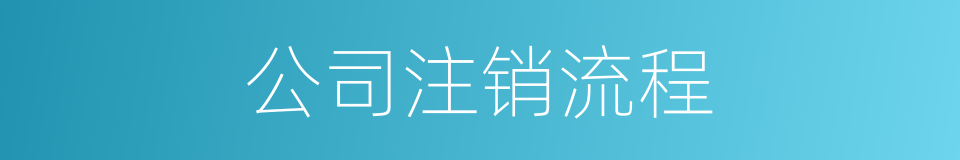 公司注销流程的同义词