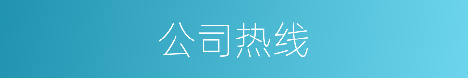 公司热线的同义词
