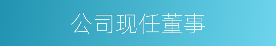 公司现任董事的同义词