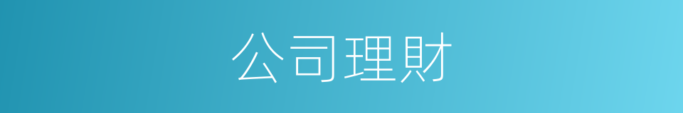 公司理財的同義詞