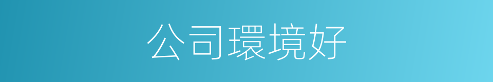 公司環境好的同義詞