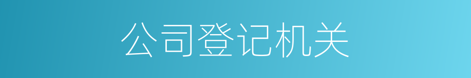 公司登记机关的同义词