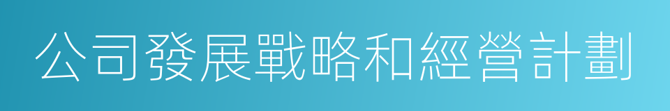 公司發展戰略和經營計劃的同義詞