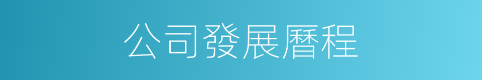 公司發展曆程的同義詞