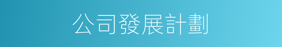 公司發展計劃的同義詞