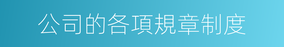 公司的各項規章制度的同義詞