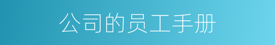 公司的员工手册的同义词