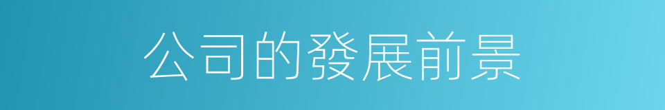 公司的發展前景的同義詞