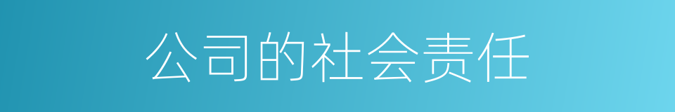 公司的社会责任的同义词