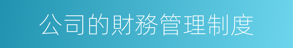 公司的財務管理制度的同義詞