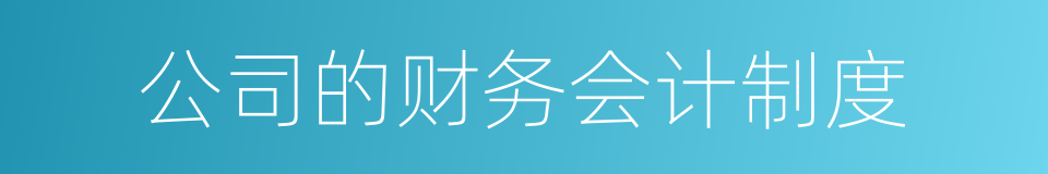 公司的财务会计制度的同义词