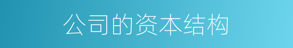 公司的资本结构的同义词