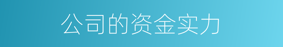 公司的资金实力的同义词