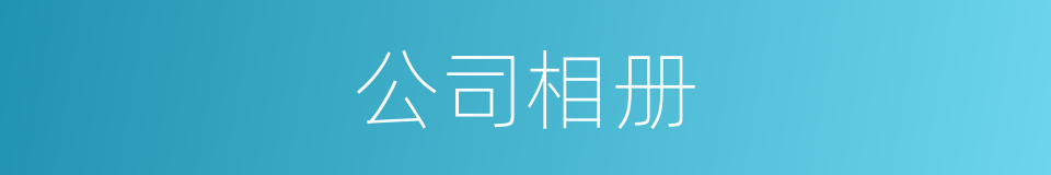 公司相册的同义词
