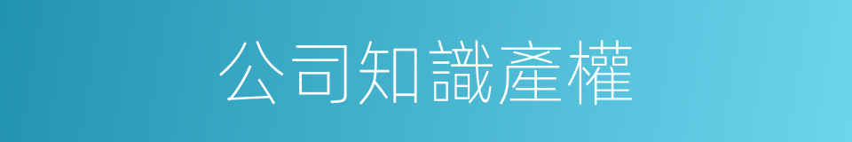 公司知識產權的同義詞