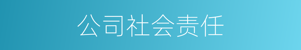 公司社会责任的同义词