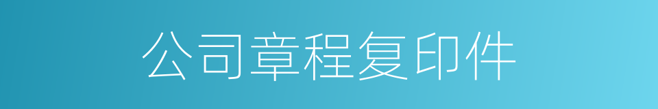公司章程复印件的同义词