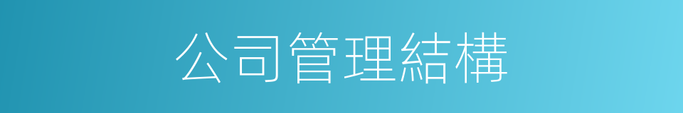 公司管理結構的同義詞