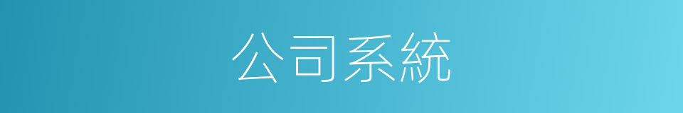 公司系統的同義詞
