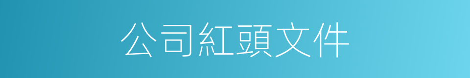 公司紅頭文件的同義詞