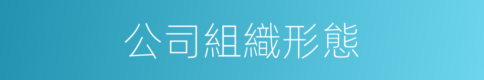 公司組織形態的同義詞