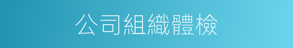 公司組織體檢的同義詞