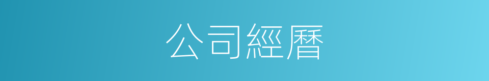 公司經曆的同義詞