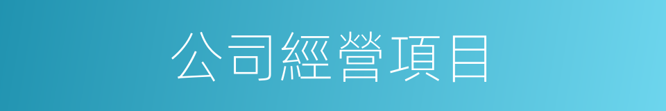 公司經營項目的同義詞
