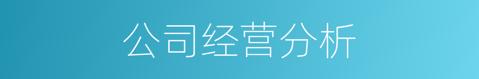 公司经营分析的同义词
