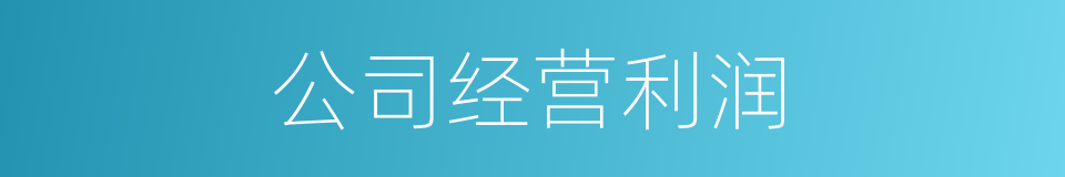 公司经营利润的同义词