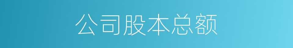 公司股本总额的同义词