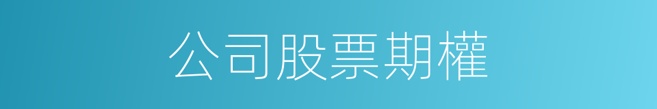 公司股票期權的同義詞