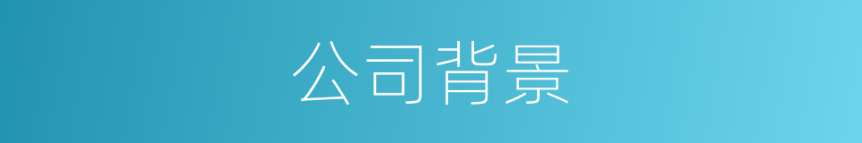 公司背景的同义词