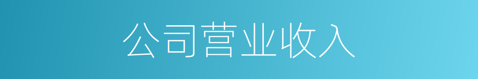 公司营业收入的同义词
