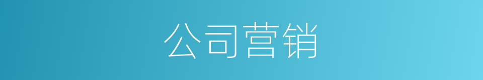 公司营销的同义词