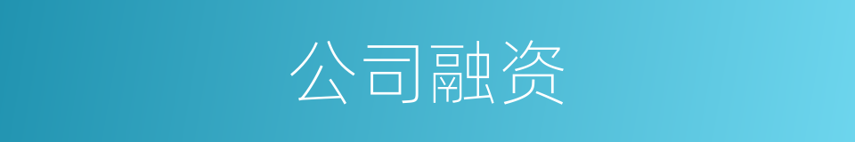 公司融资的同义词