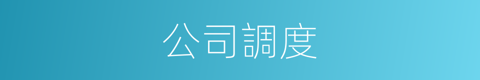 公司調度的同義詞