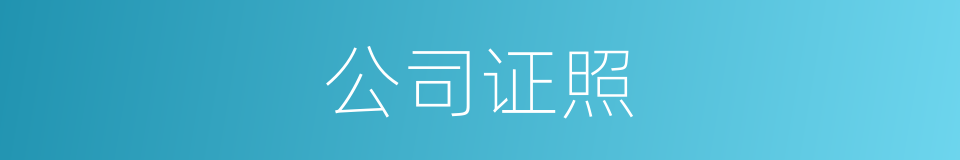 公司证照的同义词