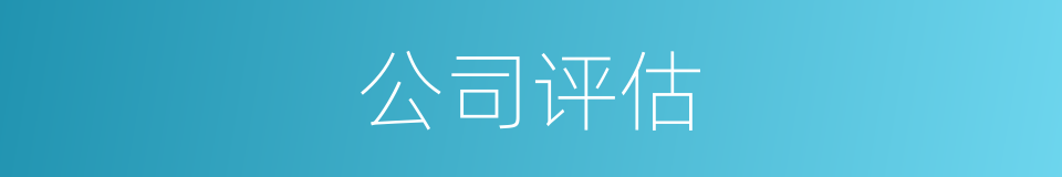 公司评估的同义词