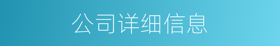 公司详细信息的同义词