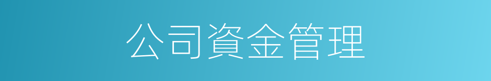公司資金管理的同義詞