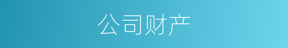 公司财产的同义词