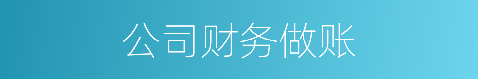 公司财务做账的同义词