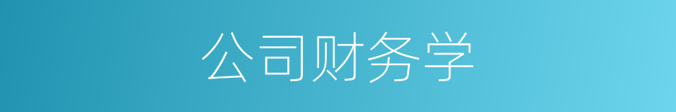 公司财务学的同义词