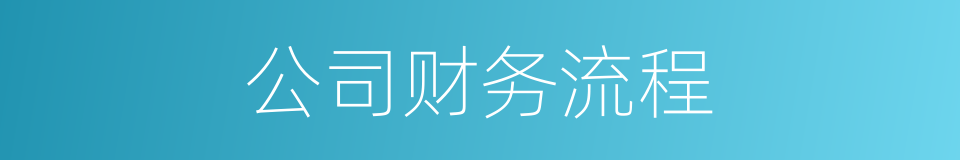 公司财务流程的同义词