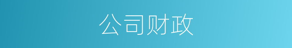 公司财政的同义词