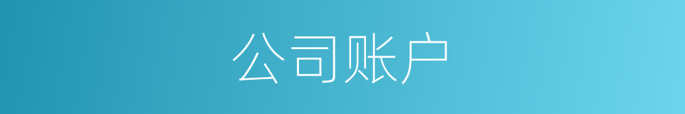 公司账户的同义词